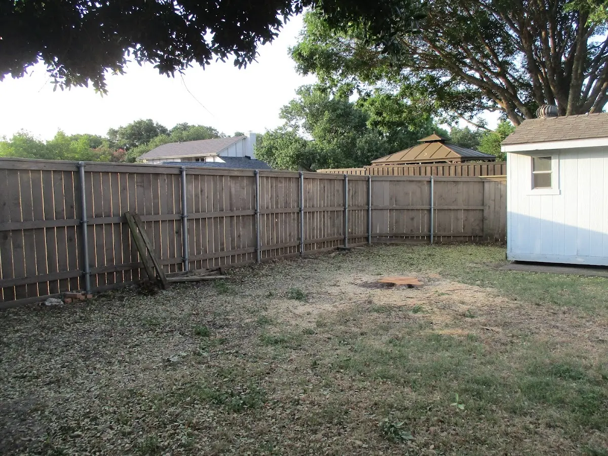 Cleared yard after professional tree removal in Cochiti Pueblo